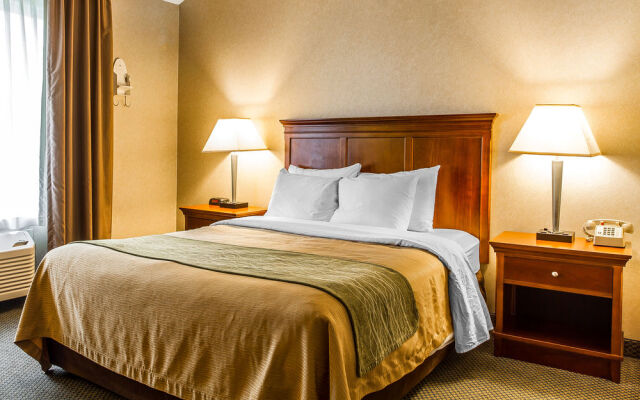Comfort Inn