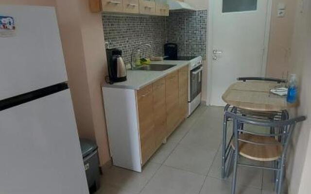 2020 renovated, sunny apartment with yard/garden