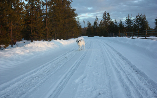 Woodhouse Cottages and Ranch