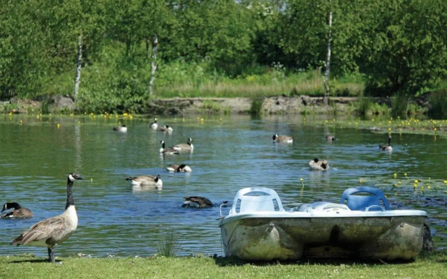 Pickering Lodges