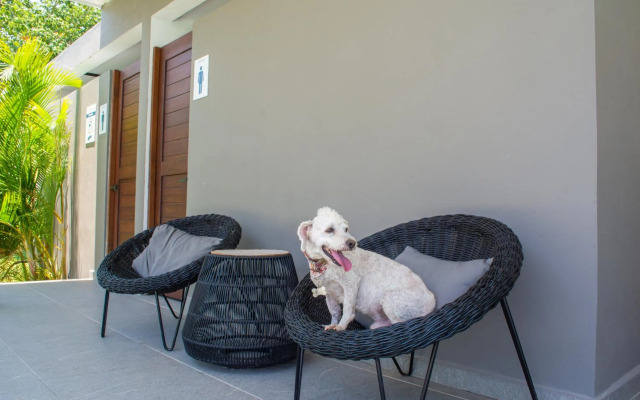 Paraíso Playa Bonita- Roof Top