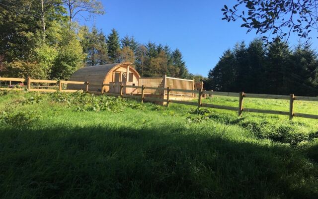 Brynllwyd Glamping