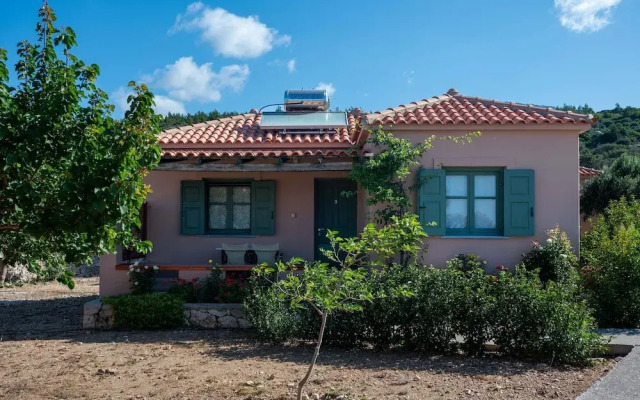 Sunny Studio Nestled Near a Refreshing Shared Pool