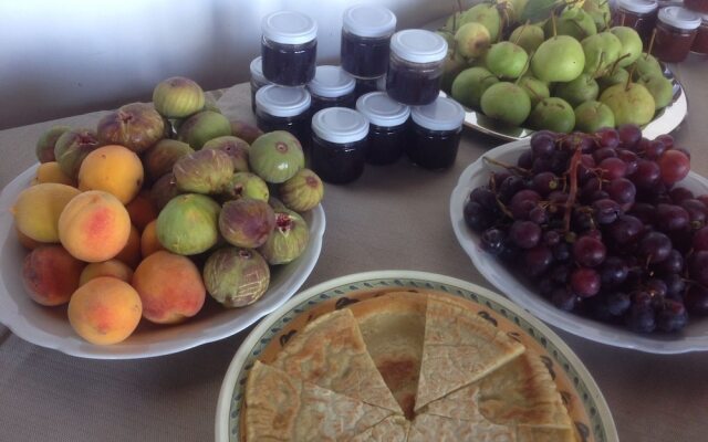 Il Podere dell'Angelo