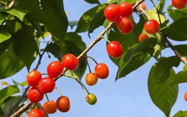 Shanghai Lazy Tiger Tribe B&B