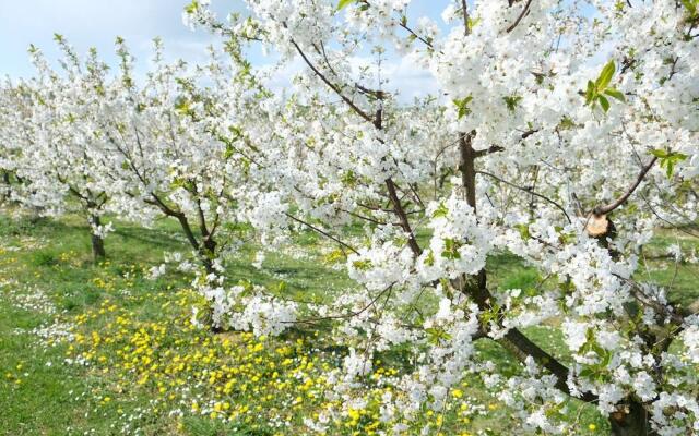 Villa Orchard Frankfurt