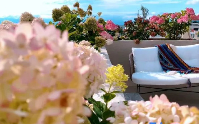 Xiting villas  (Dali Ancient City Shop)