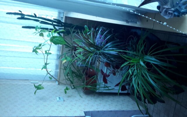 Na Bogatyrskom Apartment