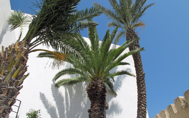 Riad des Palmiers