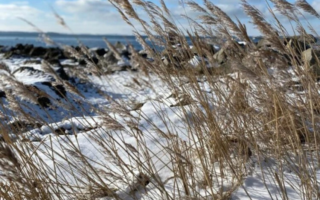 Ferienhaus mit Sauna in Boiensdorf