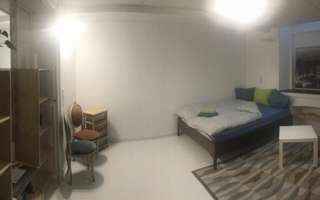 B&B Ambiorix Birch House