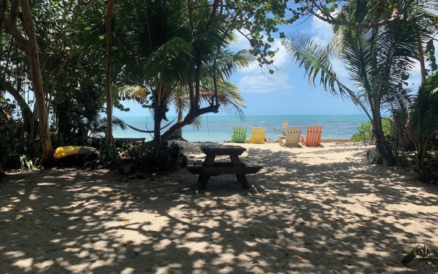 Finca Beachfront Tree house