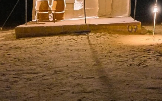Amazing Desert Camp