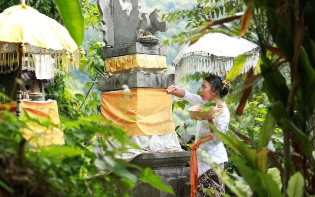 Sang Giri - Mountain Glamping Camp