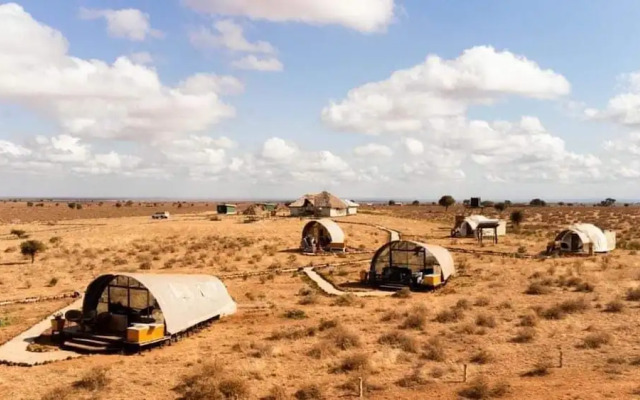 Amanya 1 -bed King Lion Tent