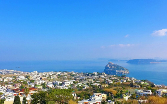 The Pink Ischia in Ischia