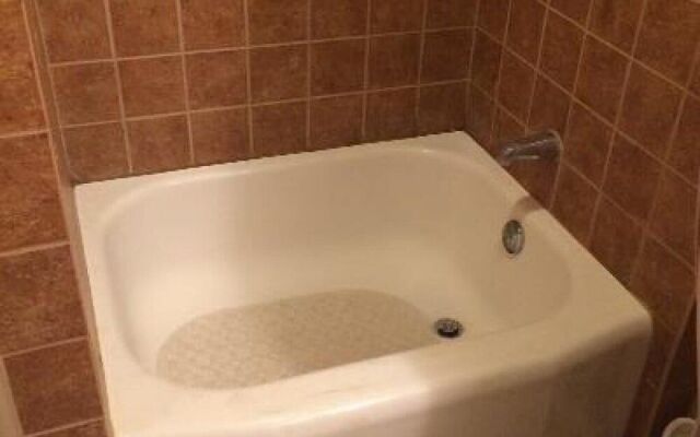 The Jewell of Vienna