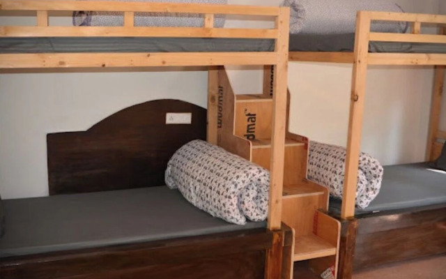 Hostel Abodes Trees of Heaven