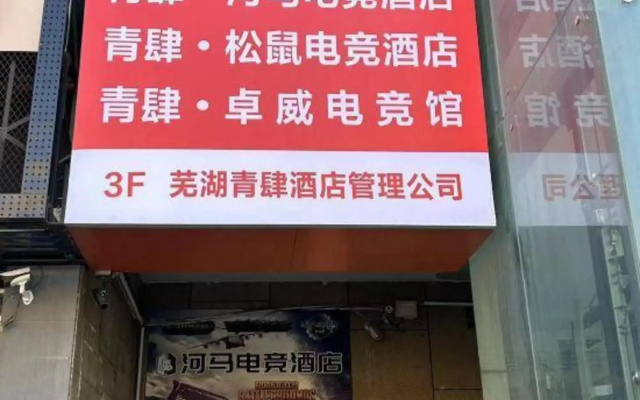 Wuhu Hippo E-sports Hotel (University Town)