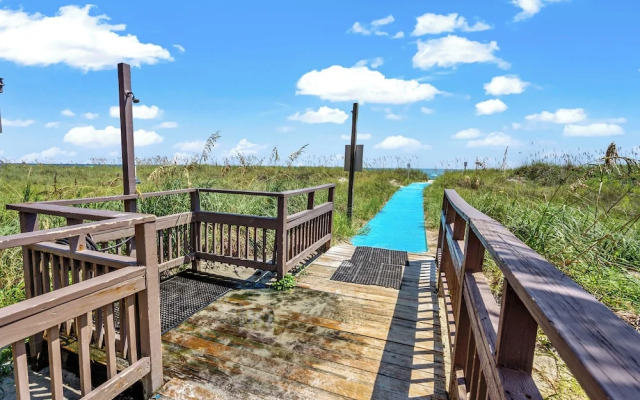 Tilghman Beach 316
