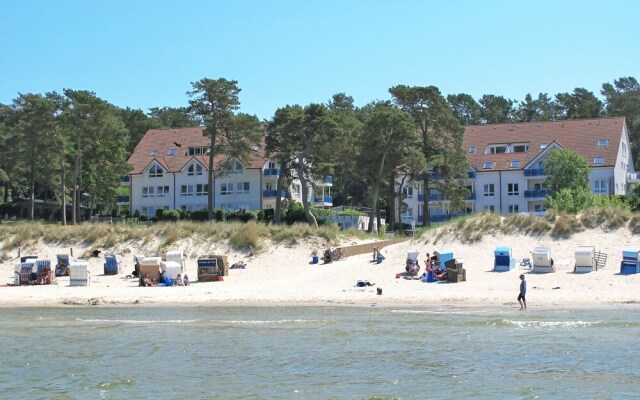 Blaumuschel Lubmin in Lubmin