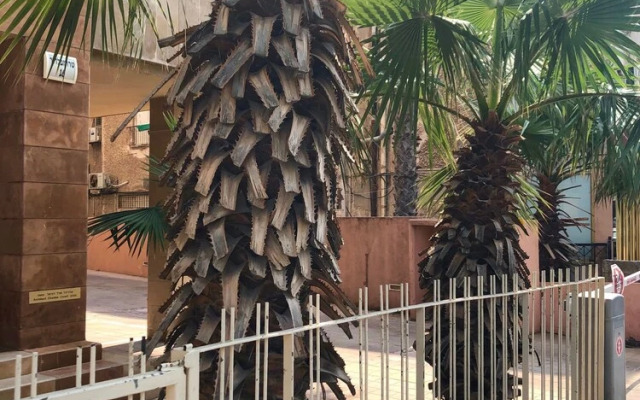 Central New Cozy 1BR by the beach