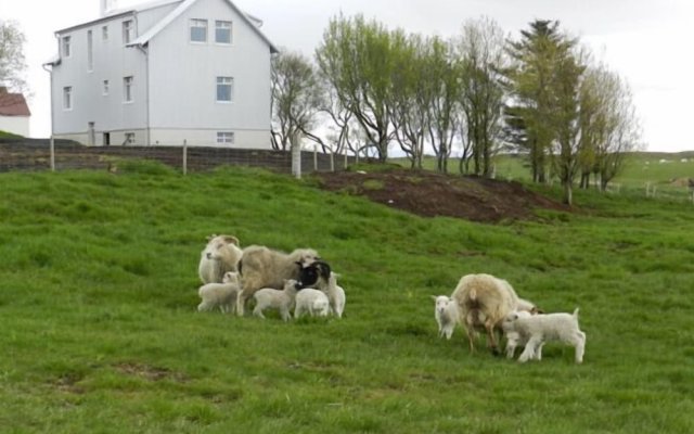 Farmer's Guest House