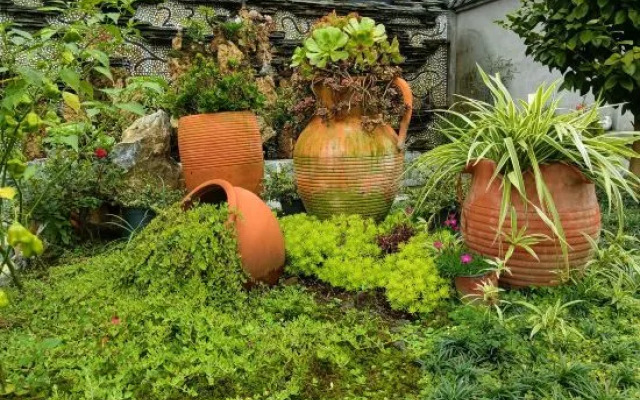 Wenchuan Qingxin Youshe Homestay