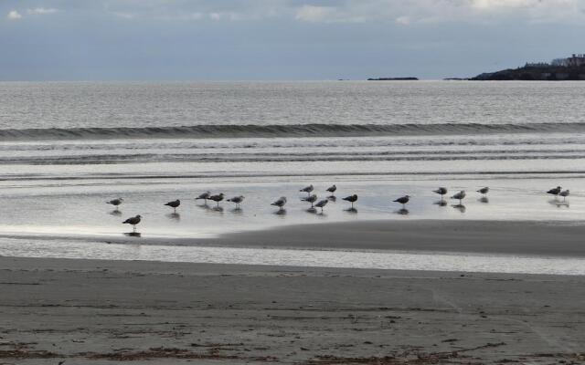 Rhea's Inn By The Sea