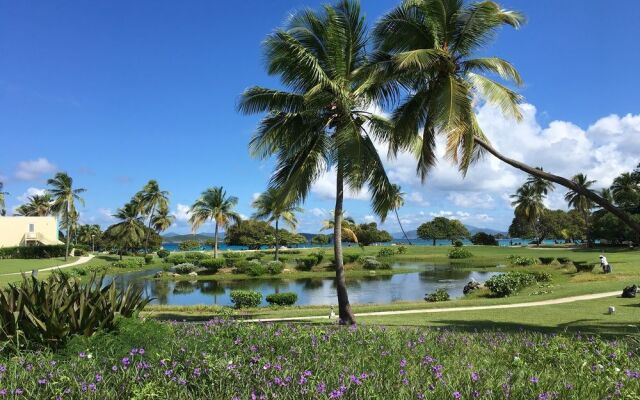 Sapphire Sanctuary by the Sea