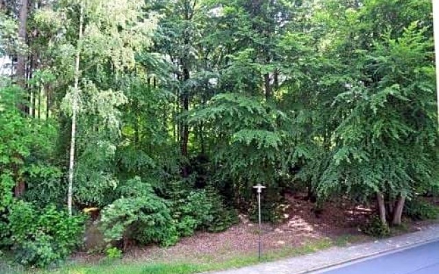 Hotel Berggasthof Waldlust