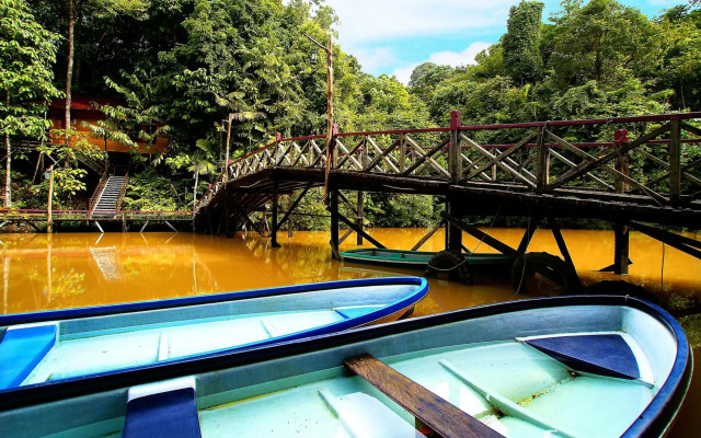 Borneo Tropical Rainforest Resort