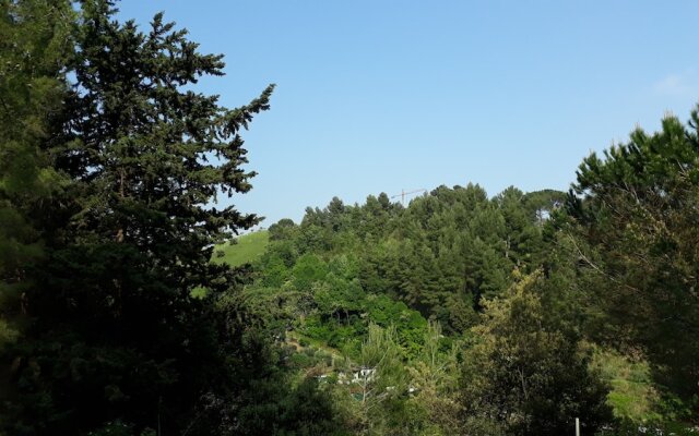 Parco Dei Gelsomini