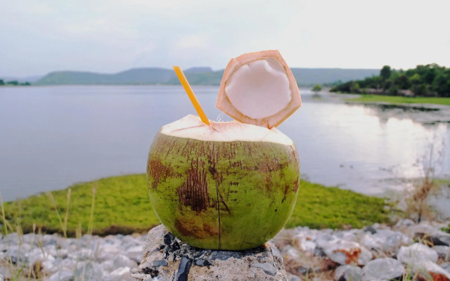 Palmchwa Resort