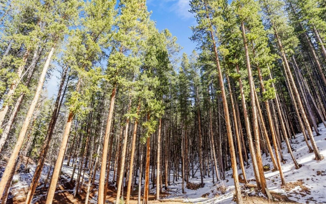 Snowy River 4 Bedroom Home by RedAwning