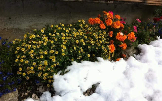 Residence Villa Toni