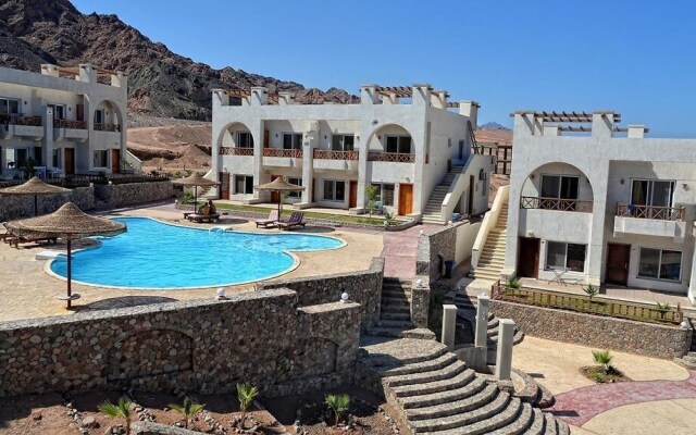 Sunny Dahab