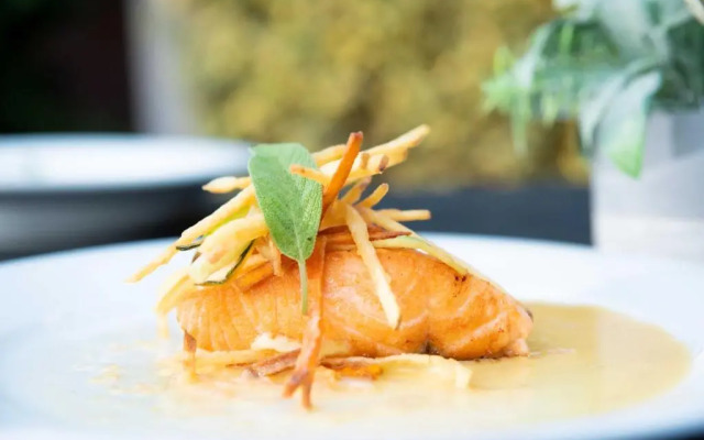 Hacienda Histórica Marchigüe