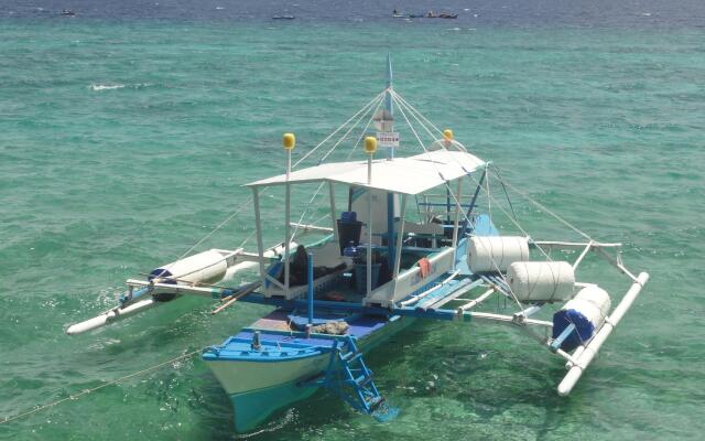 Sea Turtle House