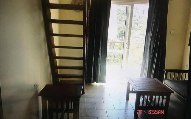 Despina Studios Kastanies Raxes Ikaria # 7