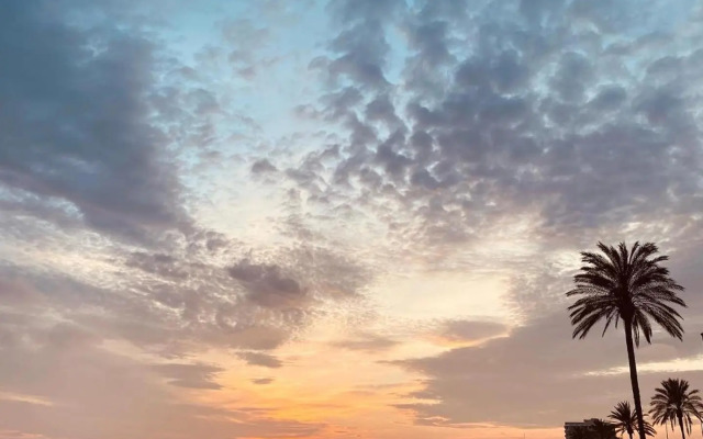 Charming apartment in a duplex with garden & balcony