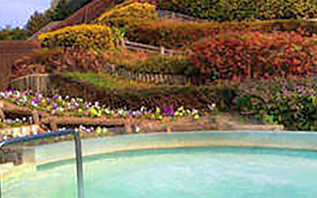 Higashiura Sun Park Hana No Yu