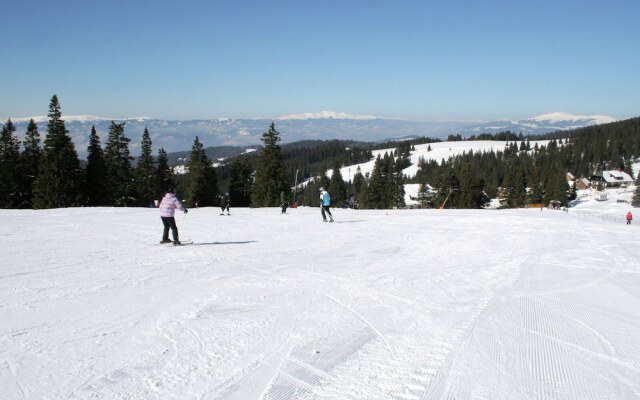 Chalet in Carinthia With Sauna Near Ski Slopes