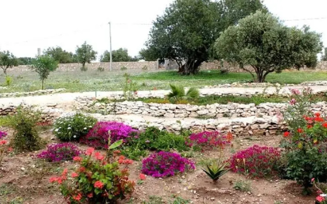 Dar De La Milonga