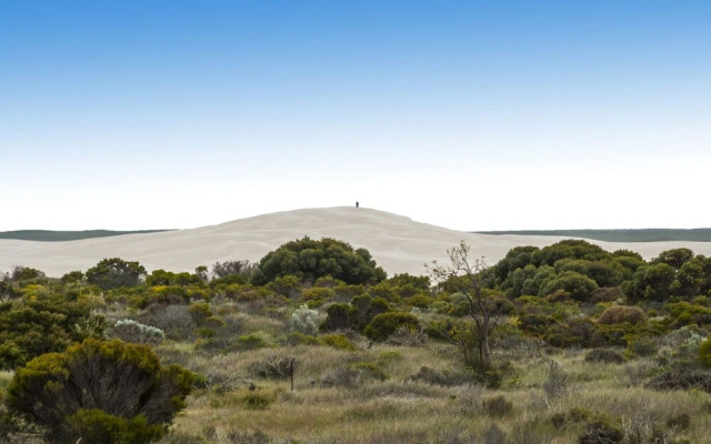Sand Dunes Experience - Pet Friendly