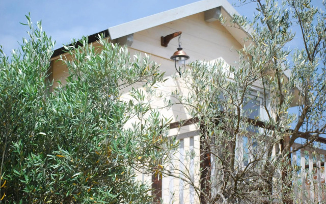 Palazzo Conforti Tree House Resort