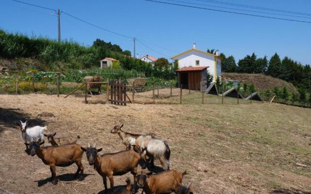 Casa Margarida, Quinta Carmo - Alcobaça - Nazaré