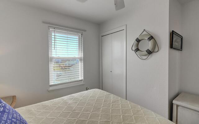 Pelican Sunrise     Lc13