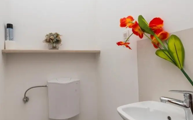 Apartment Manuela