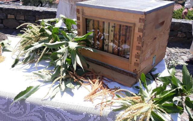 Apimonte Casa do Serra - PN Montesinho